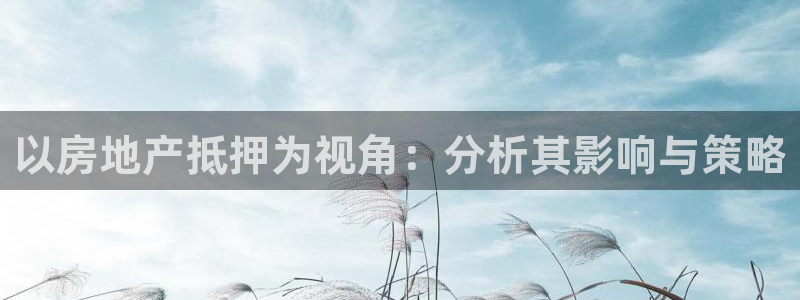 和帆记加盟官网：以房地产抵押为视角：分析其影响与策略