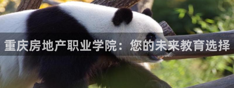 和记娱可信赖h88285官网：重庆房地产职业学院：您的未来教