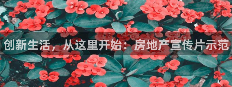 和记黄埔 成都 官网：创新生活，从这里开始：房地产宣传片示范