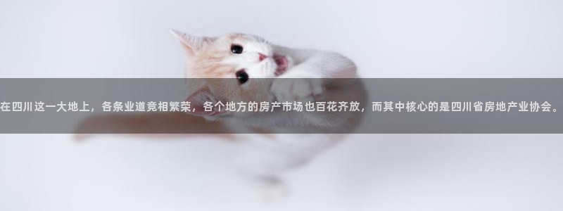 和记平台网站官网：在四川这一大地上，各条业道竞相繁荣，各个地