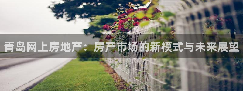 和记黄埔集团官网：青岛网上房地产：房产市场的新模式与未来展望
