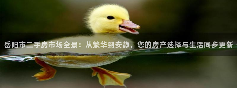 和记h188怡情官网