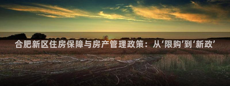 和记一品官网：合肥新区住房保障与房产管理政策：从‘限购’到‘