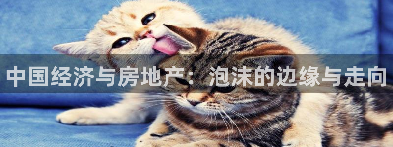 和记手机版官网：中国经济与房地产：泡沫的边缘与走向
