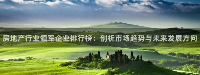 和记集团官网：房地产行业领军企业排行榜：剖析市场趋势与未来发