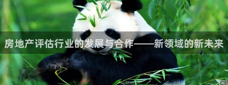 和记怡情h88官网：房地产评估行业的发展与合作——新领域的新