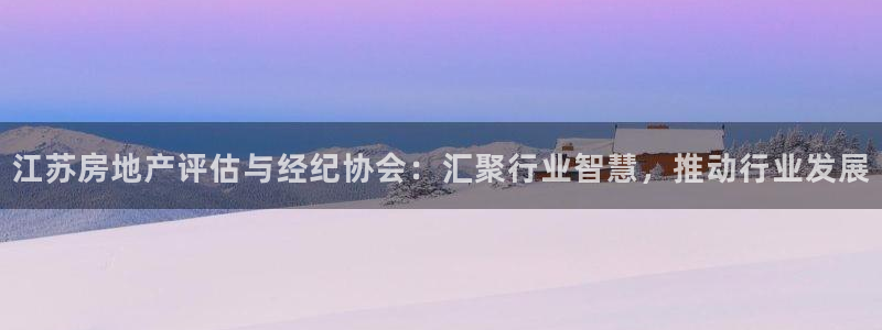 和记体育买球官网：江苏房地产评估与经纪协会：汇聚行业智慧，推