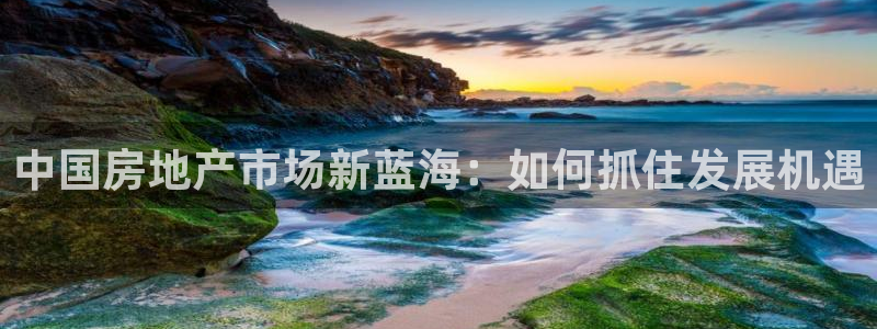 和记3卡官网是哪：中国房地产市场新蓝海：如何抓住发展机遇