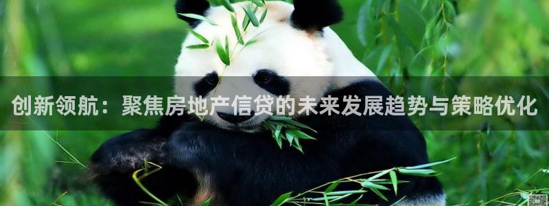 和记怡情视频在线官网：创新领航：聚焦房地产信贷的未来发展趋势