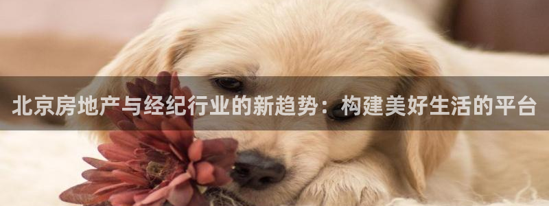 和记娱技精h88285官网：北京房地产与经纪行业的新趋势：构