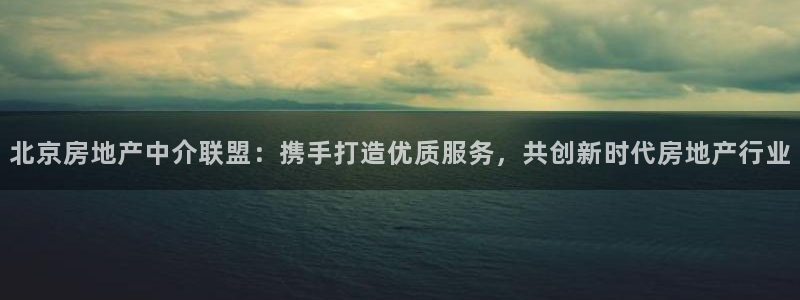 澳门和记平台官网：北京房地产中介联盟：携手打造优质服务，共创