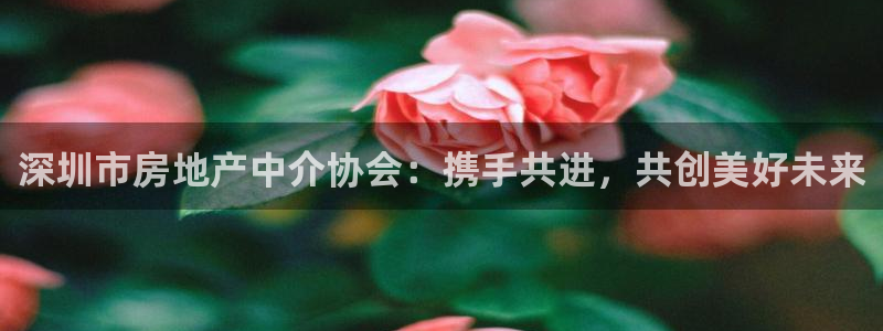 菲律宾和记官网：深圳市房地产中介协会：携手共进，共创美好未来