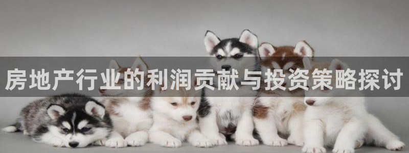 和记娱真好h88285官网：房地产行业的利润贡献与投资策略探