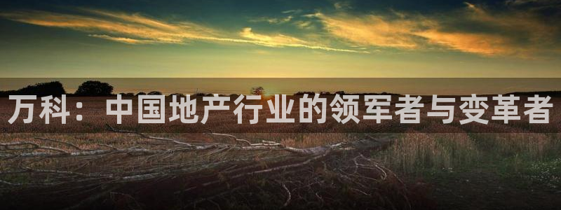 香港和记3台官网：万科：中国地产行业的领军者与变革者