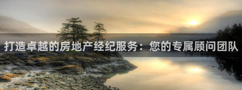 胡和记面官网：打造卓越的房地产经纪服务：您的专属顾问团队