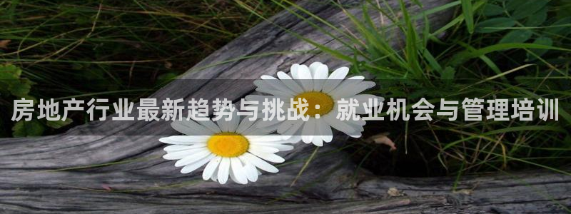 和记官网h88：房地产行业最新趋势与挑战：就业机会与管理培训