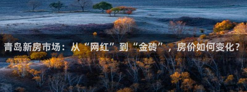 和记洋行官网