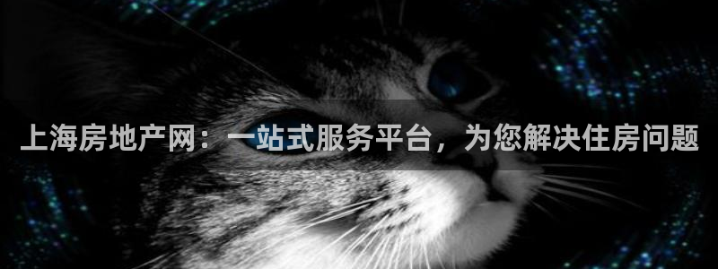 和记官网手机版：上海房地产网：一站式服务平台，为您解决住房问