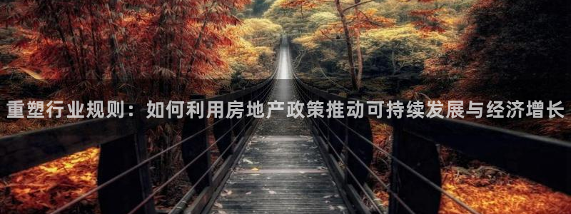 和记官网手机新版app下载：重塑行业规则：如何利用房地产政策