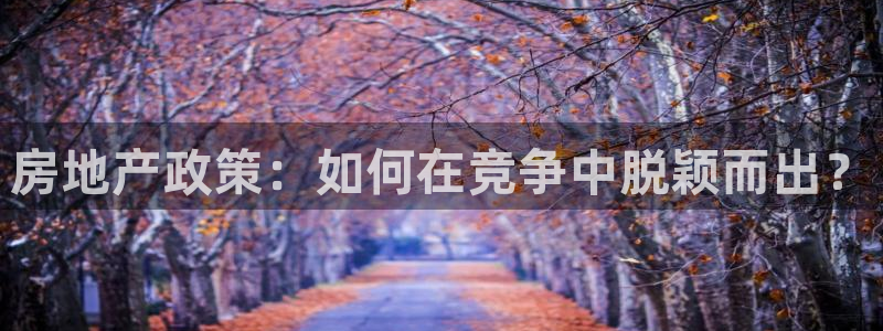 和记hgc官网：房地产政策：如何在竞争中脱颖而出？