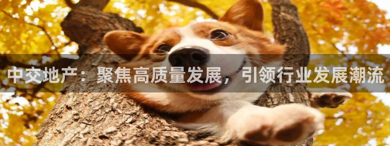 和记娱乐怡情博官网：中交地产：聚焦高质量发展，引领行业发展潮