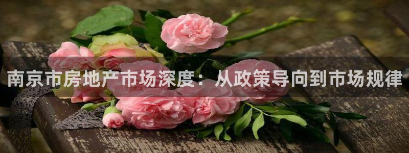 和记电游官网：南京市房地产市场深度：从政策导向到市场规律