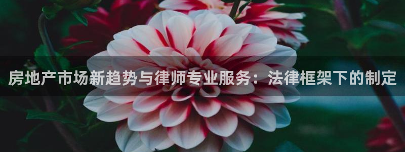 缅甸和记官网：房地产市场新趋势与律师专业服务：法律框架下的制