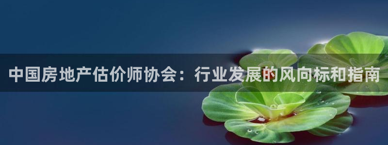和记游戏官网：中国房地产估价师协会：行业发展的风向标和指南