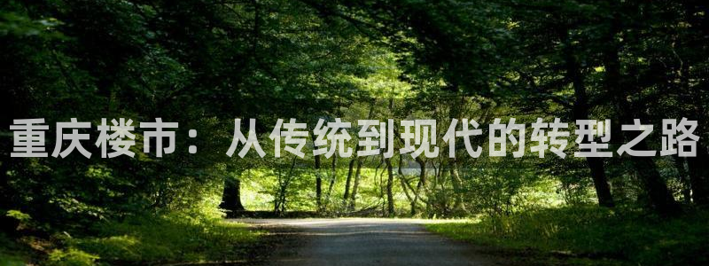 和记h8官网：重庆楼市：从传统到现代的转型之路