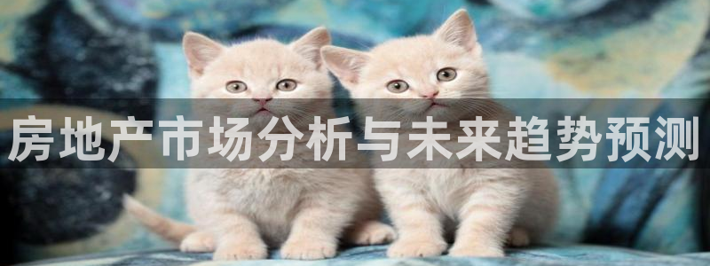 官网和记通讯：房地产市场分析与未来趋势预测