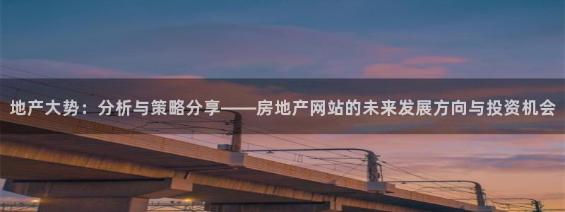 胡和记面官网：地产大势：分析与策略分享——房地产网站的未来发