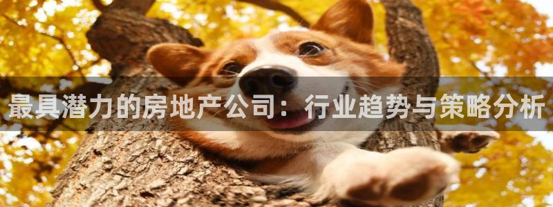 和记官网亚洲唯一官网：最具潜力的房地产公司：行业趋势与策略分