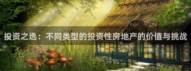 和帆记官网：投资之选：不同类型的投资性房地产的价值与挑战