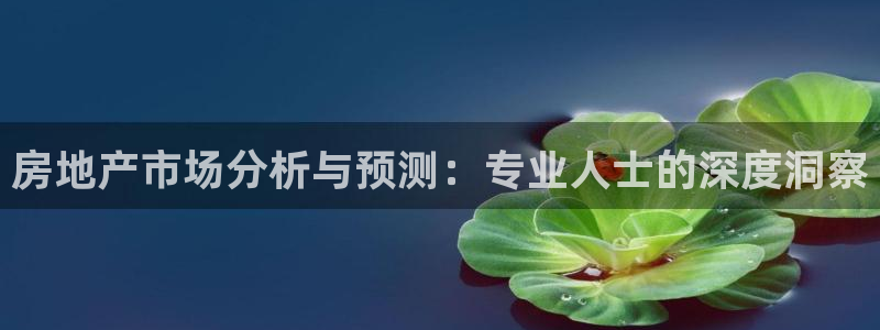 和记娱哪个位置h88285官网：房地产市场分析与预测：专业人