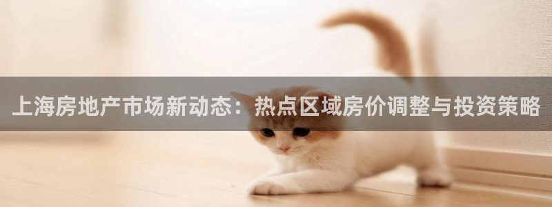 和记增值官网：上海房地产市场新动态：热点区域房价调整与投资策