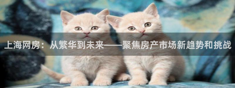 和记娱要多少钱h88285官网：上海网房：从繁华到未来——聚
