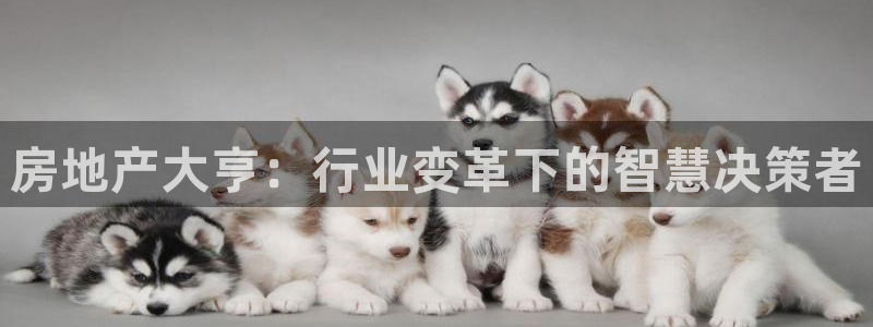 和记国际平台官网：房地产大亨：行业变革下的智慧决策者
