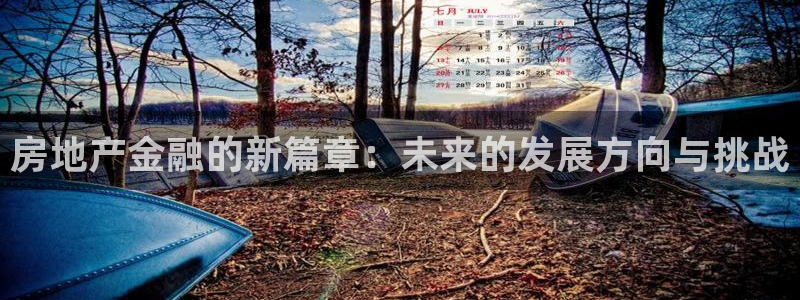 和记娱乐怡情博官网：房地产金融的新篇章：未来的发展方向与挑战