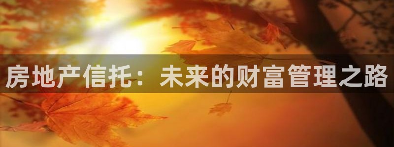和记电官网：房地产信托：未来的财富管理之路