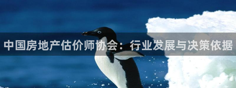 和记娱就问h88285官网：中国房地产估价师协会：行业发展与