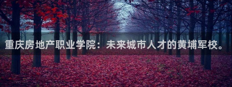 和记国际有限公司官网：重庆房地产职业学院：未来城市人才的黄埔