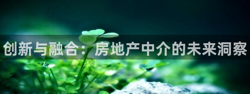 和记体育买球官网：创新与融合：房地产中介的未来洞察