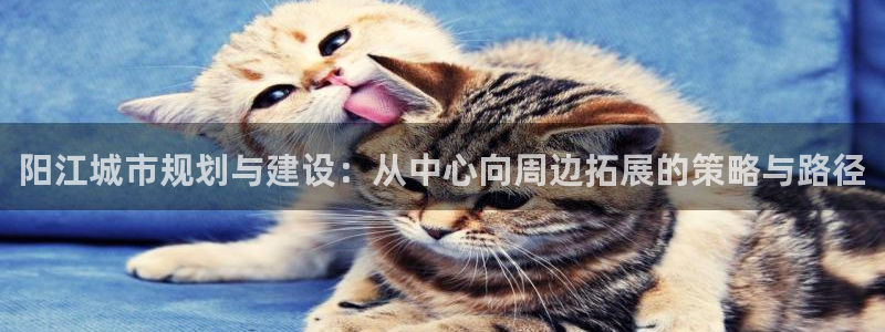 和记娱的确好h88285官网：阳江城市规划与建设：从中心向周