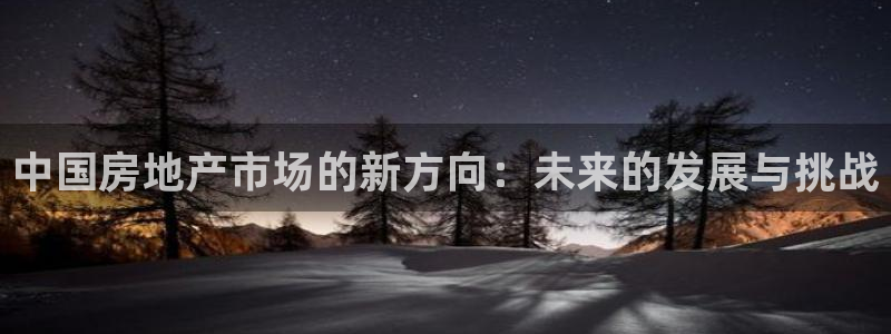 和记官网手机版下载：中国房地产市场的新方向：未来的发展与挑战