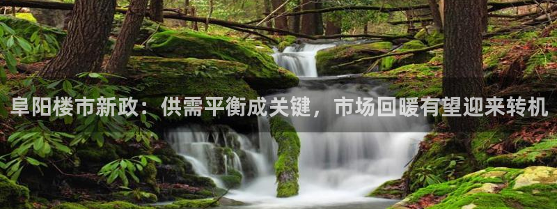 上海和记官网：阜阳楼市新政：供需平衡成关键，市场回暖有望迎来