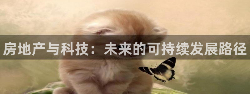 和记怡情博娱官网：房地产与科技：未来的可持续发展路径