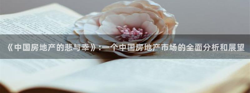 和记体育买球官网：《中国房地产的悲与幸》:一个中国房地产市场