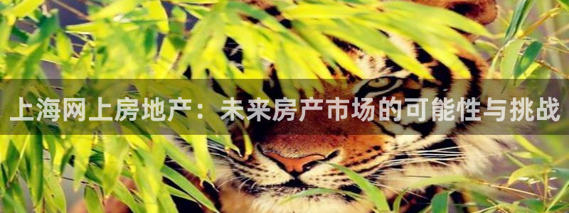 和记体育买球官网：上海网上房地产：未来房产市场的可能性与挑战