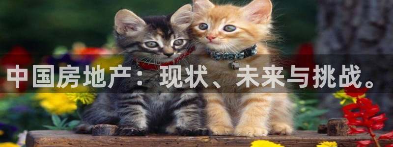 和记娱乐首页官网：中国房地产：现状、未来与挑战。