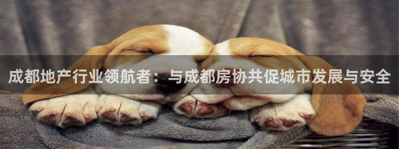 和记安徽快3官网开户：成都地产行业领航者：与成都房协共促城市